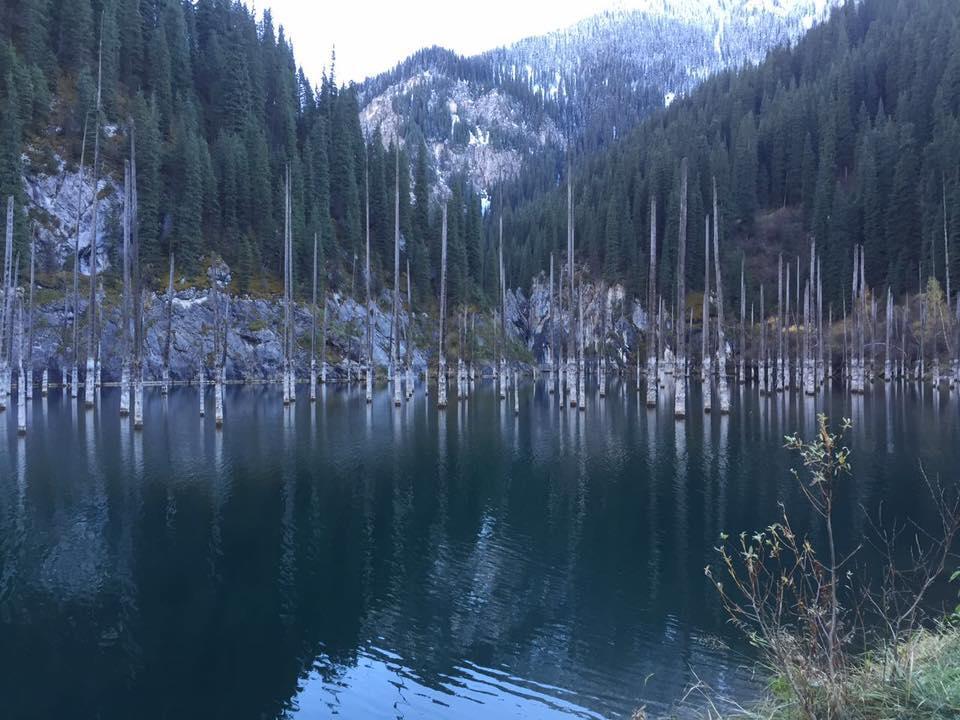 نزل Almaty Backpackers المظهر الخارجي الصورة